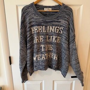 Wildfox Blue and White Women's Sweater Feelings Are Like the Weather Knit Cozy